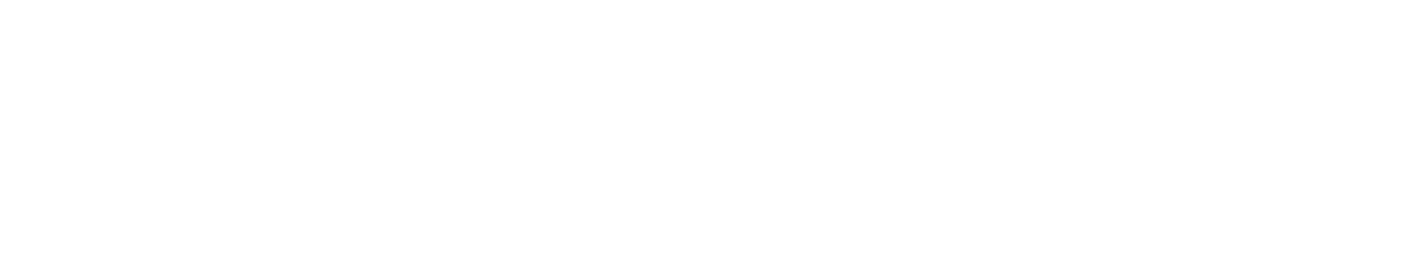 Experience by Foret